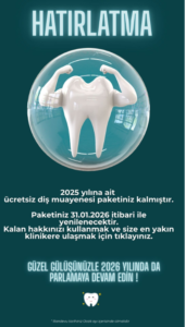 dispaketi 2
